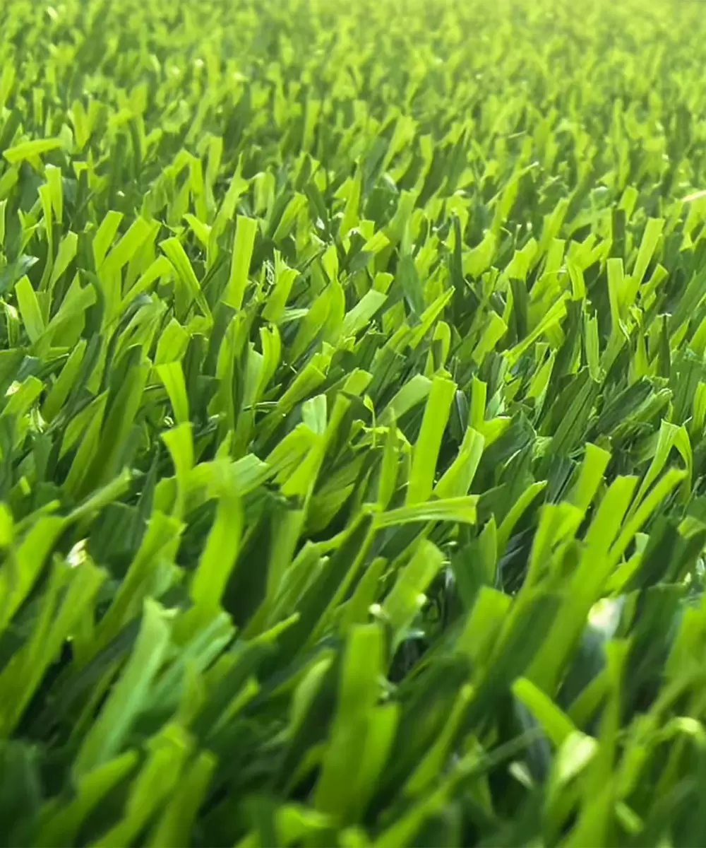 Spring Mixed Green