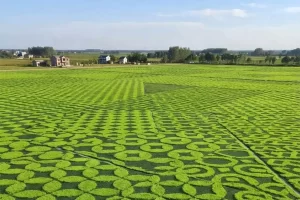 Patterned Turf Mat